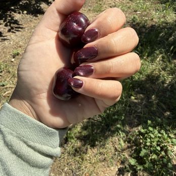 Diamonds Nail Bar - My nails also matched for cherry picking! - Nail Salons Near Me - San Jose, California Diamonds Nail Bar - My nails also matched for cherry picking! - Nail Salons Near Me - San Jose, California