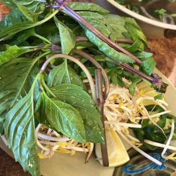 Pho 97 - Vietnamese Near Me - Pinellas Park, Florida