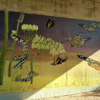 Nina Mason Pulliam Rio Salado Audubon Center - Mural art - Parks Near Me - Phoenix, Arizona Nina Mason Pulliam Rio Salado Audubon Center - Mural art - Parks Near Me - Phoenix, Arizona