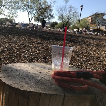 MUTTS Canine Cantina - Fort Worth - Dog Parks Near Me - Forth Worth, Texas