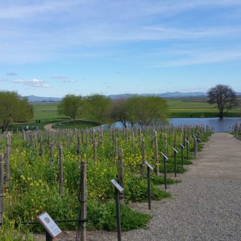 Ram's Gate Winery - Wineries Near Me - Sonoma, California Ram's Gate Winery - Wineries Near Me - Sonoma, California