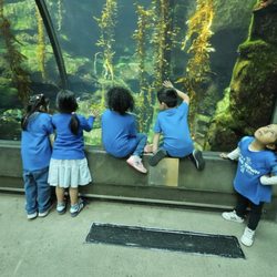 Kids Town Preschool