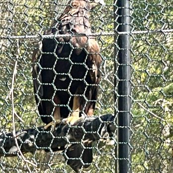 The Alaska Zoo - Eagle - Zoos Near Me - Anchorage, Alaska The Alaska Zoo - Eagle - Zoos Near Me - Anchorage, Alaska