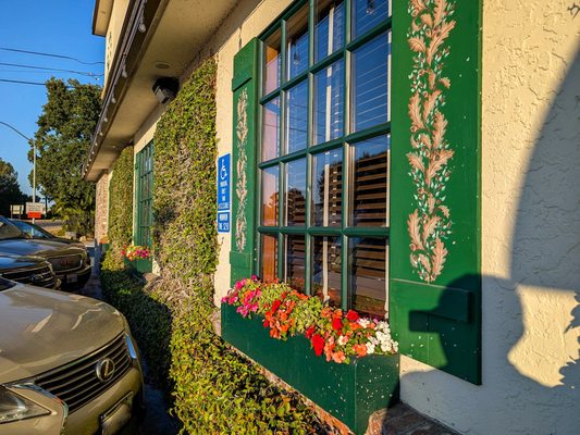 Harry's Hofbrau by null