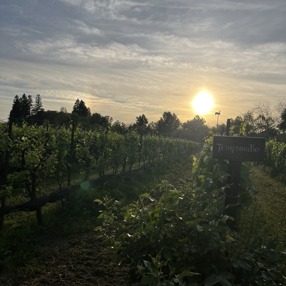 3 Oaks Vineyard - Wineries Near Me - Clovis, California