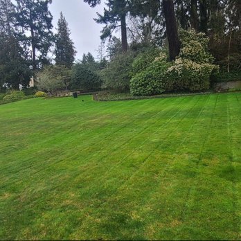 Sunglow Maple Landscaping Services - Call For Details - Landscaping Near Me Sunglow Maple Landscaping Services - Call For Details - Landscaping Near Me