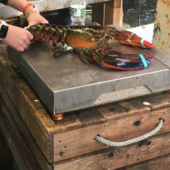 Robinson's Wharf - Fresh off the boat! Here's 4 lbs. of lobsta to enjoy... - Seafood Near Me - Southport, Maine