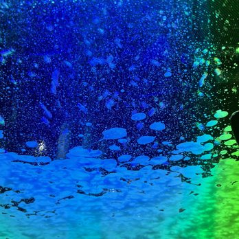 Wash and Wax Pros - Car Wash Near Me - Davie, Florida
