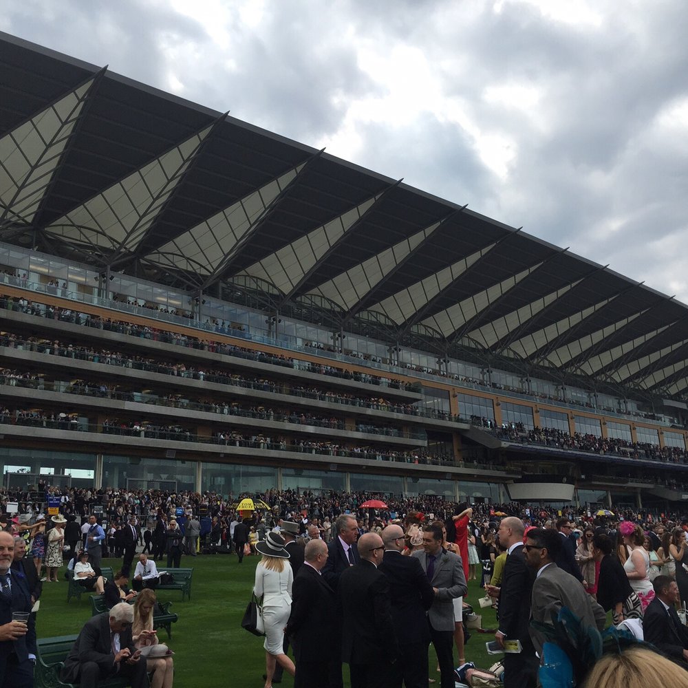 Ascot Racecourse - The Grandstand - Horseback Riding Near Me - Bracknell Forest, WNM