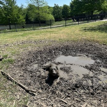 Northbark Dog Park - Dog Parks Near Me - Dallas, Texas