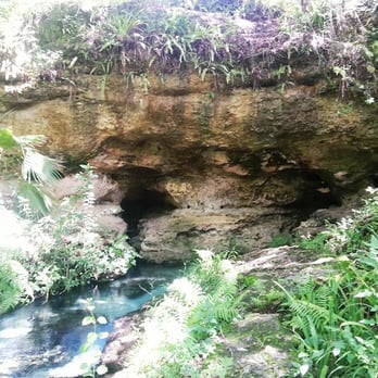 Kelly Park - Hiking Near Me - Apopka, Florida Kelly Park - Hiking Near Me - Apopka, Florida