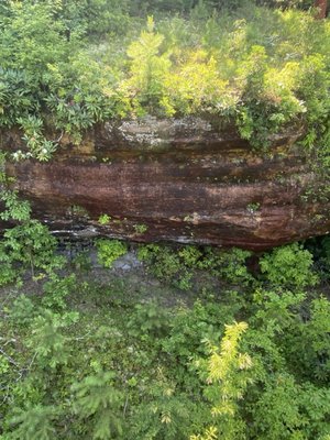 Daniel Boone National Forest by null