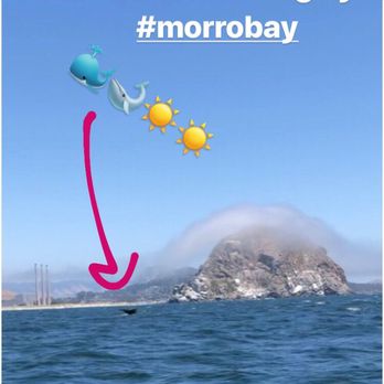 Sub Sea Tours - Rafting/Kayaking Near Me - Morro Bay, California Sub Sea Tours - Rafting/Kayaking Near Me - Morro Bay, California