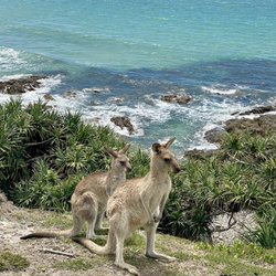 Moonee Beach Nature Reserve