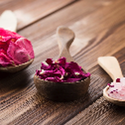 Healibrium - Premier Day Spa in San Deigo