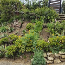 Fifth Element Landscape - Fire retardant landscape