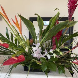 Ohana Creations - Every view point gorgeous