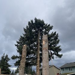 K&J Tree Works - Working on #3