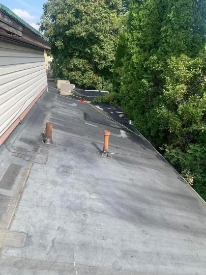 Slide of Sealtech Nation