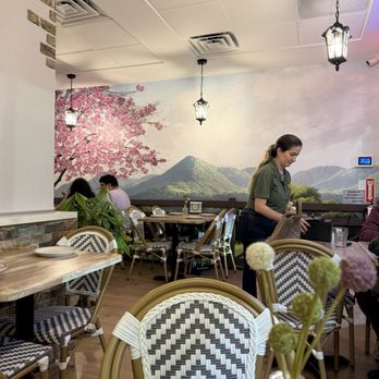 Apamate Bistro - Latin American Near Me - Pinecrest, Florida