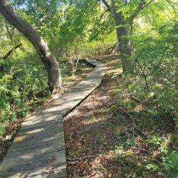Ballard Park