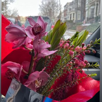 FIELD - Floral Designers Near Me - Richmond, Virginia FIELD - Floral Designers Near Me - Richmond, Virginia