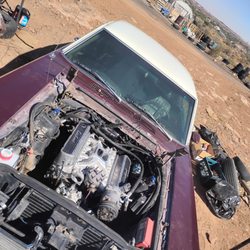 Wild Willys Automotive