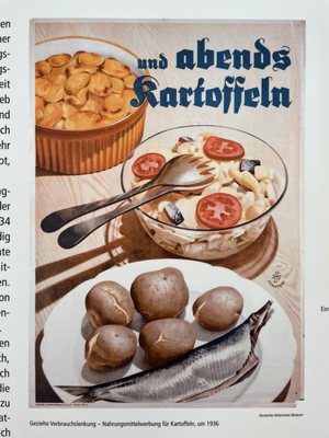 Dokumentationszentrum Prora by null