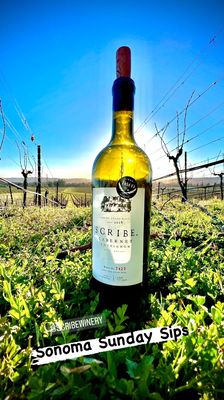 Scribe Winery by null