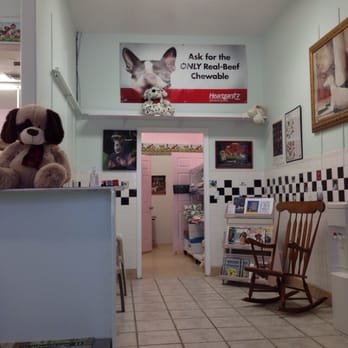 Brevard Aid To Animals - Veterinarians Near Me - Melbourne, Florida Brevard Aid To Animals - Veterinarians Near Me - Melbourne, Florida