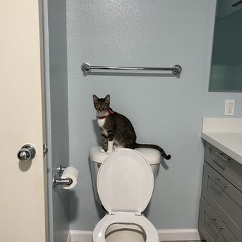 Luxe Precision - Bathroom - Flooring Near Me