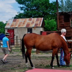 They also board horses here, and sometimes even they get baths