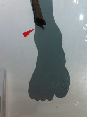 Viking Ship Museum by null