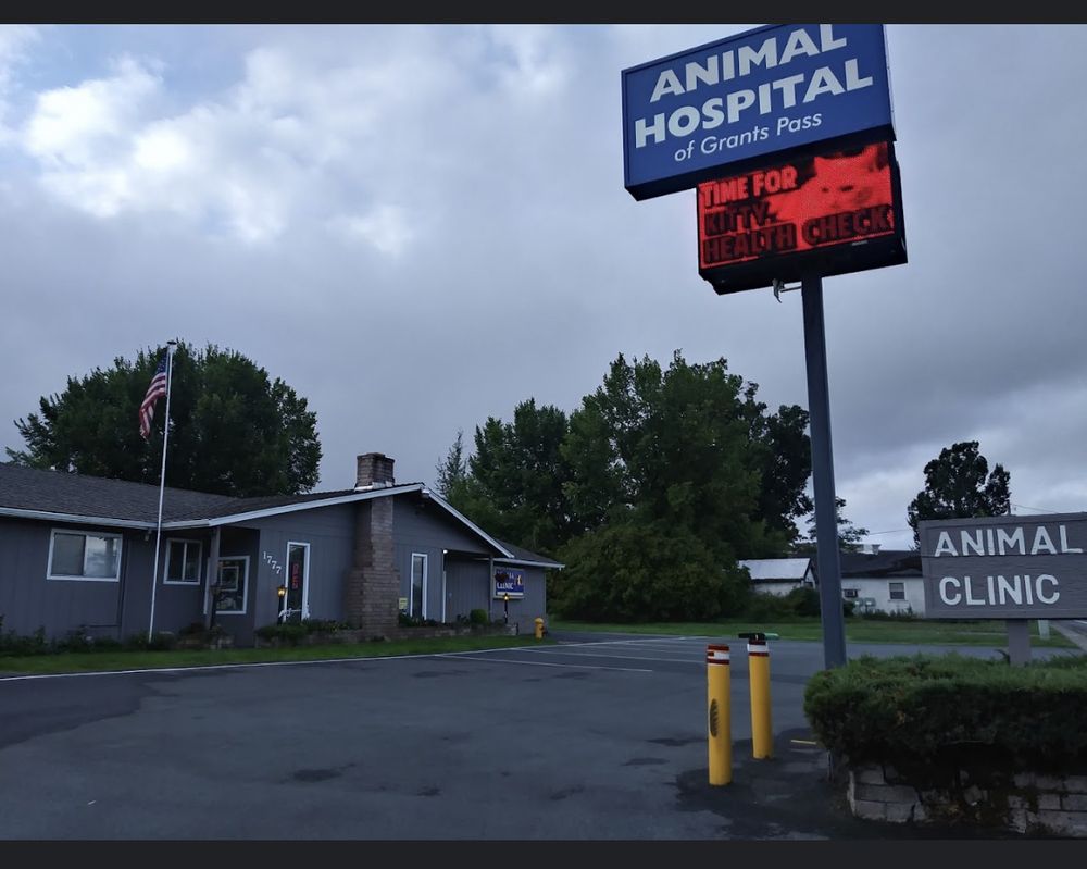 ANIMAL HOSPITAL OF GRANTS PASS Updated April 2024 12 Photos & 13