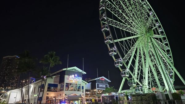 Bayfront Park by null