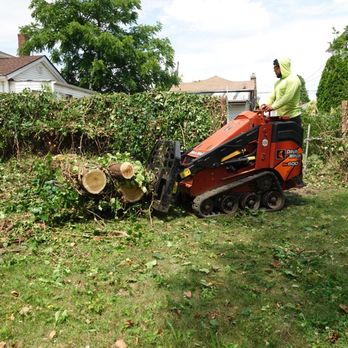 Antonio Tree Service - Tree Services Near Me - Elmont, New York