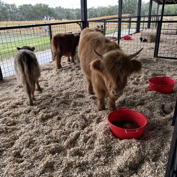 Frogmore Fields - Pick Your Own Farms Near Me - Dade City, Florida