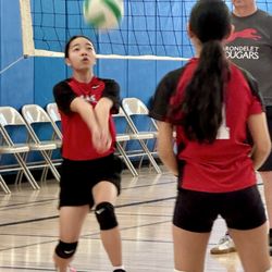 All Out Sports League - All Out Sports League, April 2026