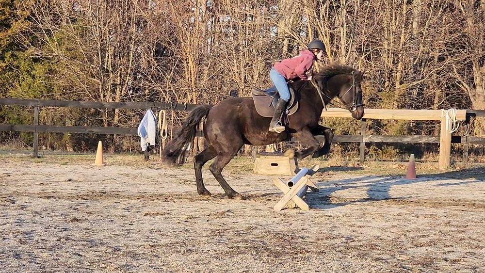 Dragonfly Dreams Horse Farm - equestrian in Brightwood, VA