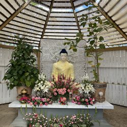 Dhammawood Meditation Center - Bodhi Tree