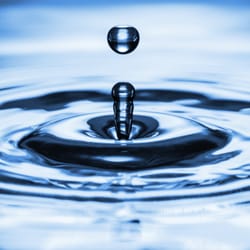 Still Water Yoga & Wellness