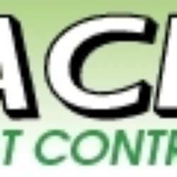 ACE Pest Control