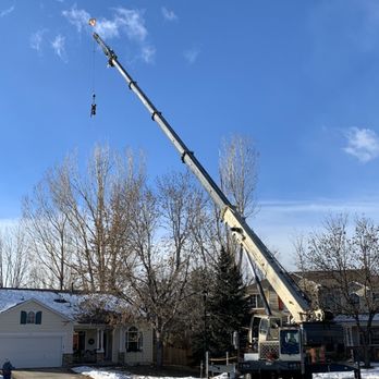 Hollar Tree Company - The best part of a crane removal is riding into the tree at the beginning - Tree Services Near Me Hollar Tree Company - The best part of a crane removal is riding into the tree at the beginning - Tree Services Near Me
