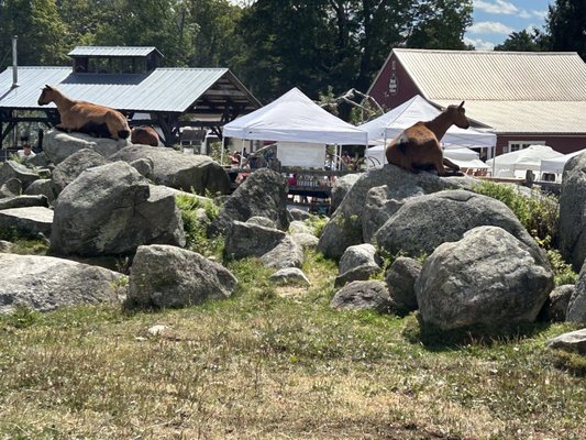 Red Apple Farm by null