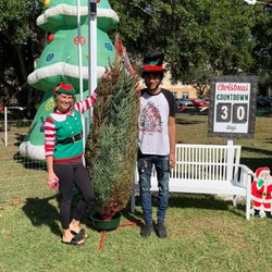 Gallio Family Christmas Trees