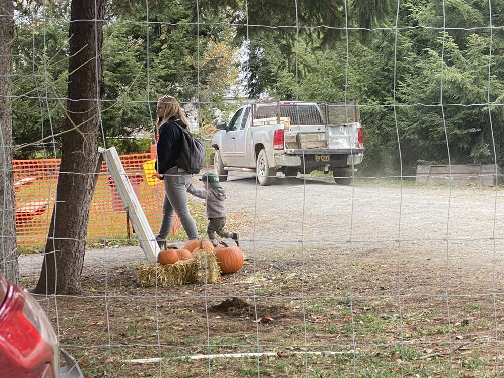 RACE FARM Updated October 2024 28 Photos & 12 Reviews 87 Belcher Rd, Blairstown, New