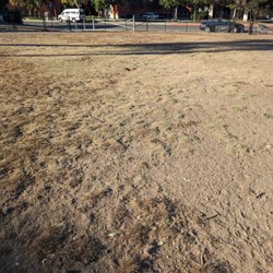 Rancho Penasquitos Off Leash Area - More dirt