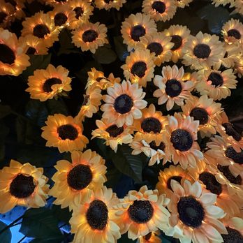 Imaginarium 360 - This is the sunflower place to take pics and more! - Festivals Near Me - Milpitas, California Imaginarium 360 - This is the sunflower place to take pics and more! - Festivals Near Me - Milpitas, California