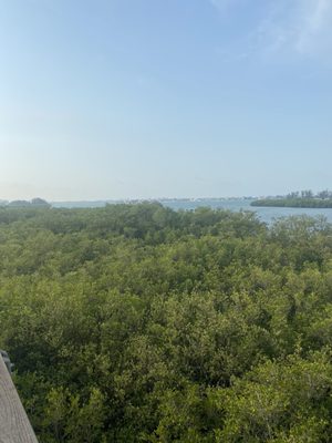 Boca Ciega Millennium Park by null