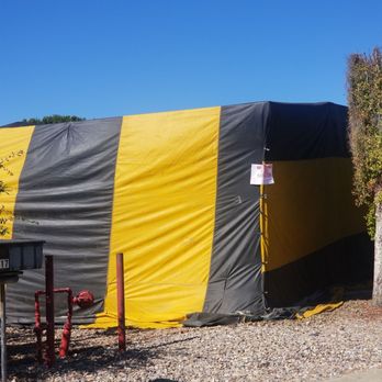 Wild Wild Pest Control - Pest Control Near Me - San Diego, California Wild Wild Pest Control - Pest Control Near Me - San Diego, California